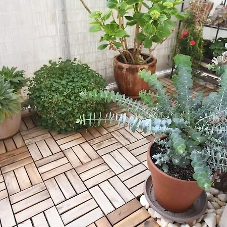 Appartement Ilijana Zadar